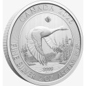 Hanhi - 2 Oz - hopeinen sijoituskolikko