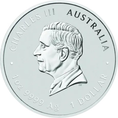 Lunar Snake (2025) - 1 Oz - Silver Investment Coin