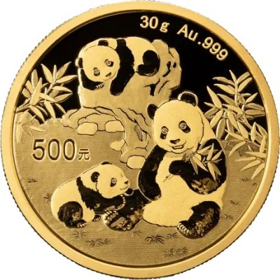 Panda (2025) - 30g - kultasijoituskolikko