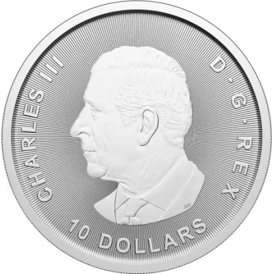 Bull and Bear (2025) - 2 Oz - silver investment coin