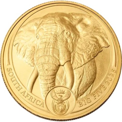 Big Five Elephant (2025) - 1 Oz - gold investment coin