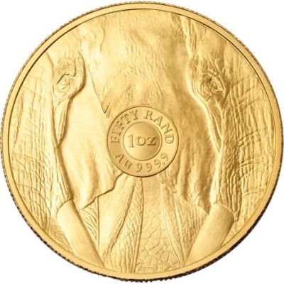 Big Five Elephant (2025) - 1 Oz - gold investment coin