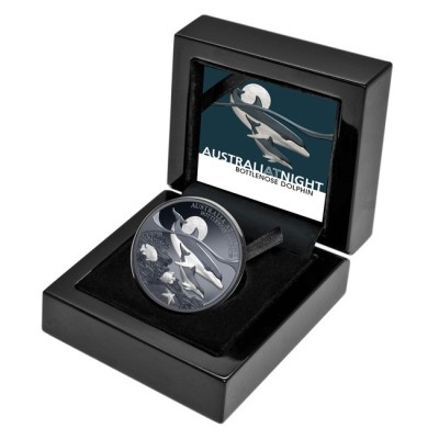 Pullonokkadelfiini - 1 Oz - hopeinen keräilykolikko