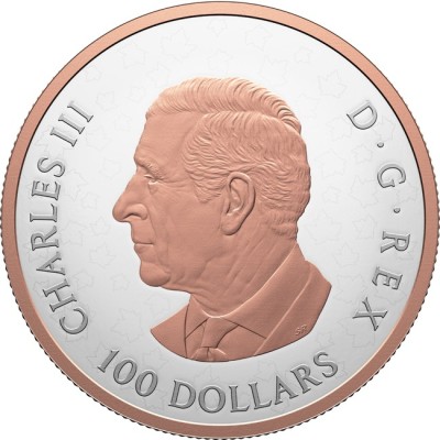Gleaming Maple Leaves - 10 Oz - Silver Collector Coin (delivery 30.6.2025)
