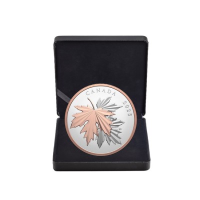 Gleaming Maple Leaves - 10 Oz - Silver Collector Coin (delivery 30.6.2025)