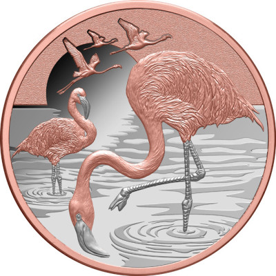 Flamingo (2025) - 1 Oz - hopeinen keräilykolikko