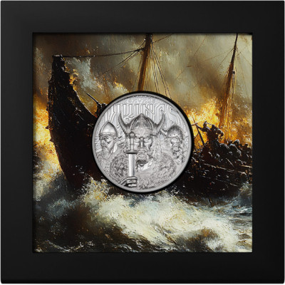 Wild Vikings - 1 Oz - hopeinen keräilykolikko