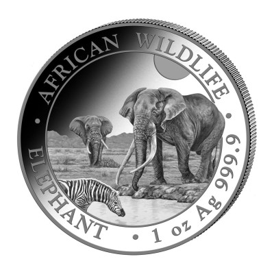 Afrikkalainen norsu (2026) - 1 Oz - hopeinen sijoituskolikko