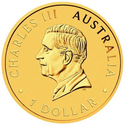 Australian Nugget - 1 Oz -  Silver Proof Gold-Plated Coin