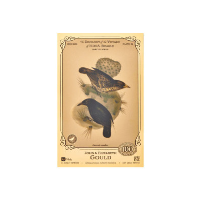 John ja Elizabeth Gould Aurum - H.M.S. Beagle -kokoelma