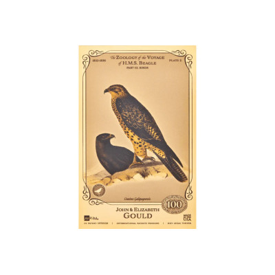 John ja Elizabeth Gould Aurum - H.M.S. Beagle -kokoelma
