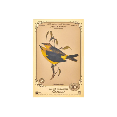 John ja Elizabeth Gould Aurum - H.M.S. Beagle -kokoelma