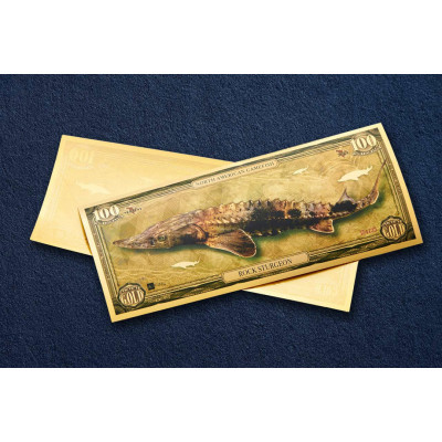 Rock Sturgeon - 24k kultaa Bill - Sarja I