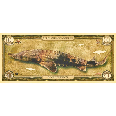 Rock Sturgeon - 24k kultaa Bill - Sarja I