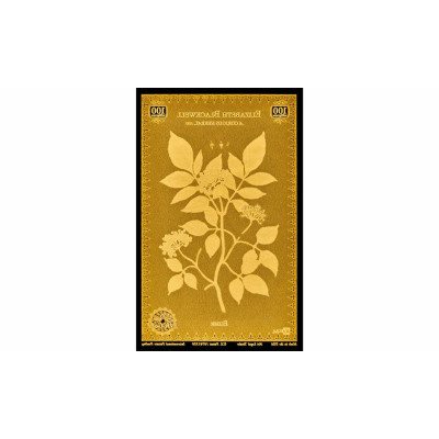 Blackwell Botanical - 24k Gold Series Set